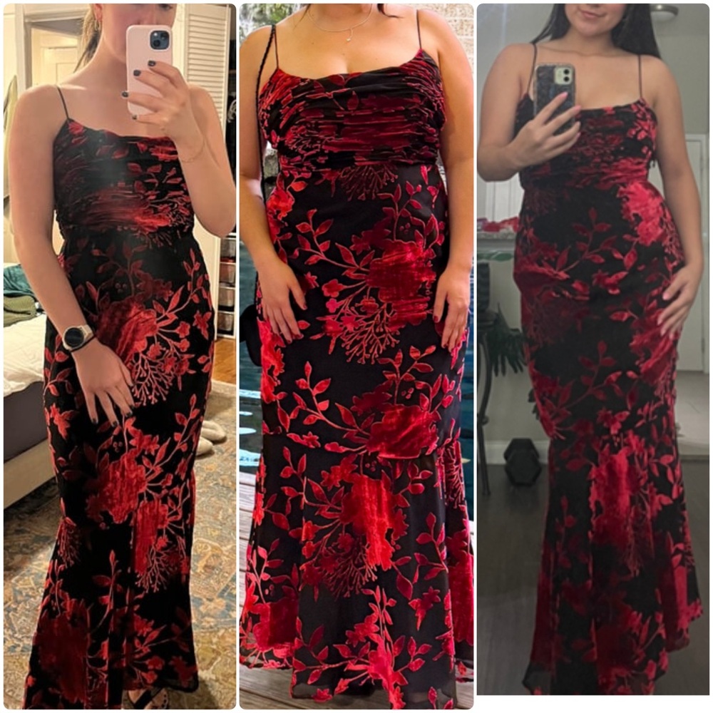 Hutch Tylia Floral Velvet Midi Dress size 14